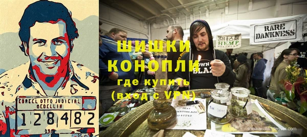 метадон Богданович