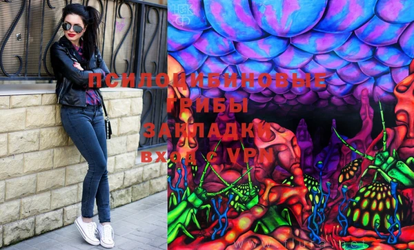 метадон Богданович