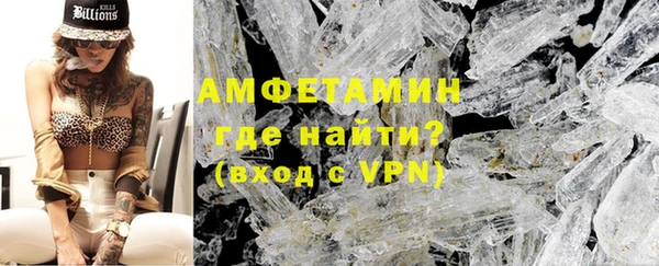 метадон Богданович